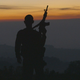 Illustration for article titled Cartel Land examines anti-drug vigilantes on both sides of the Mexican border
